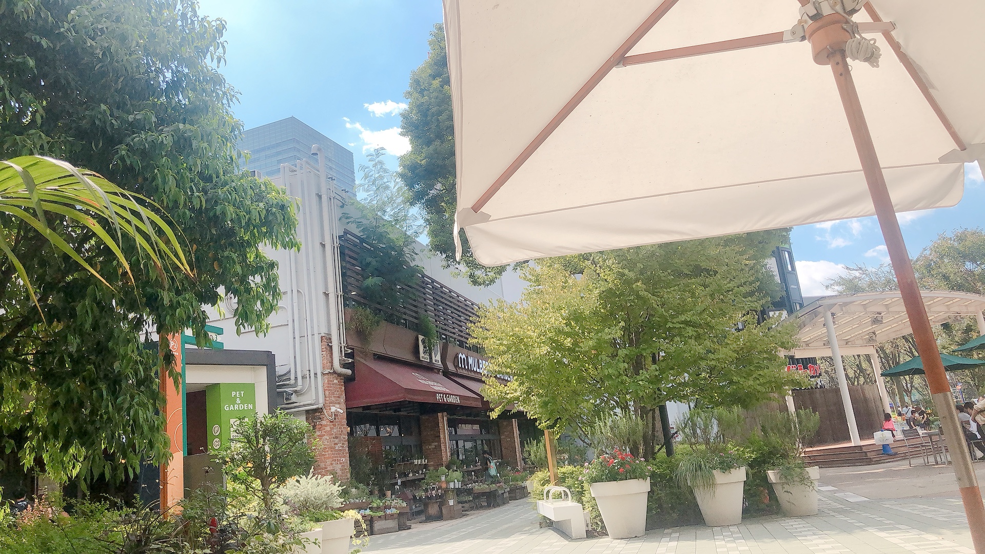 埼玉 赤ちゃんもワンちゃんもみんな一緒に おしゃれランチはbushwick Grillで 子育てwebマガジン ベイビーカフェ