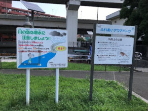 蒔田公園　カヌー1
