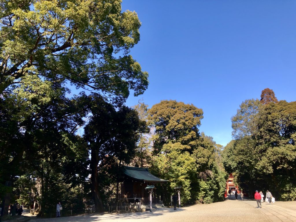 武蔵一宮氷川神社の木々