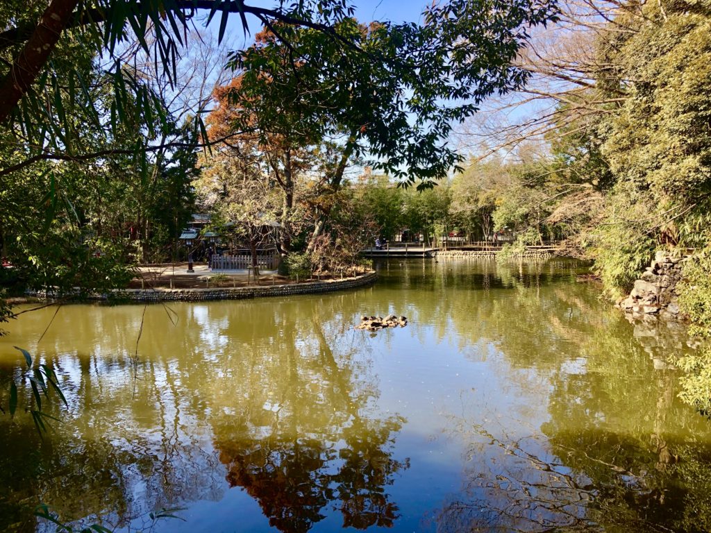 武蔵一宮氷川神社の池